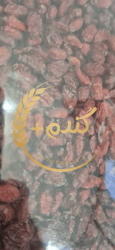 زرشک اعلا کیلویی