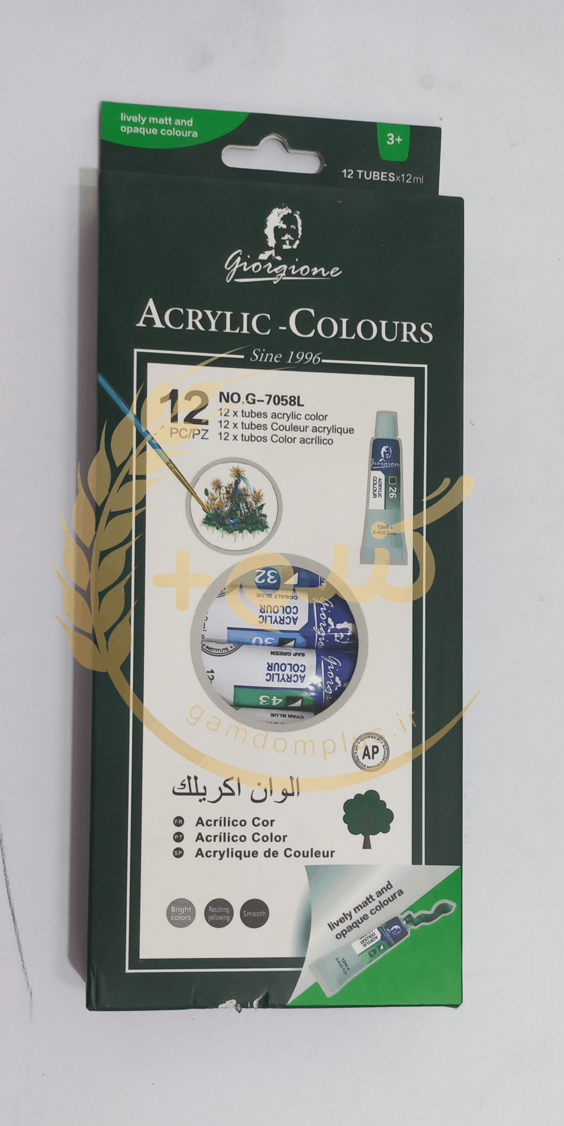 رنگ اکریلیک 12 تایی giorgione