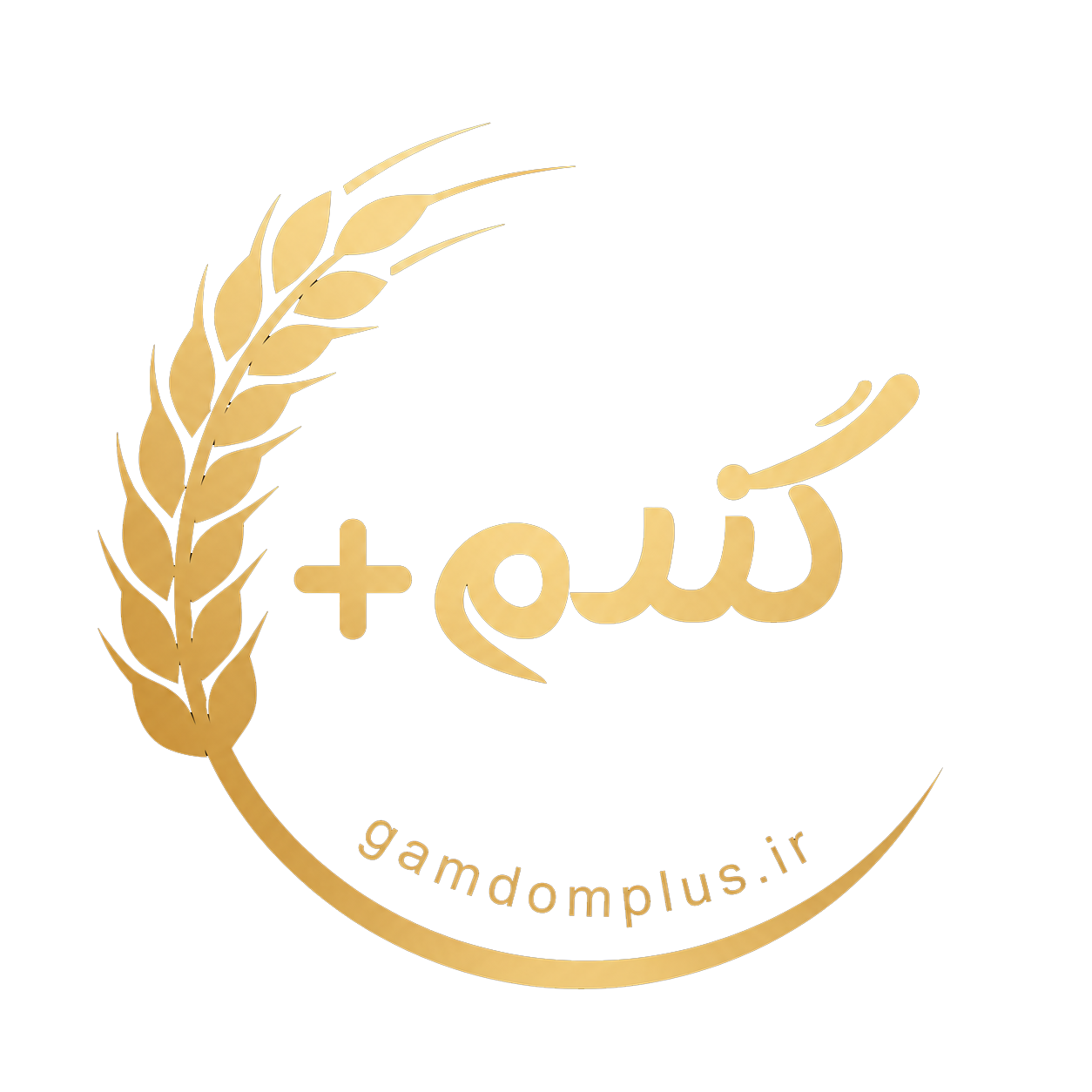گندم پلاس
